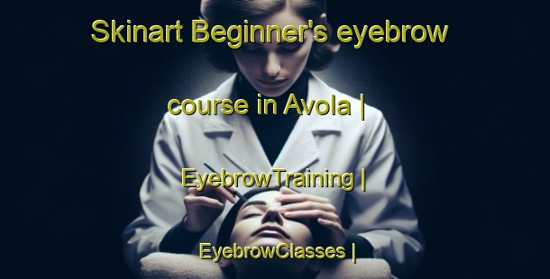 Skinart Beginner's eyebrow course in Avola | EyebrowTraining | EyebrowClasses | SkinartTraining-Canada